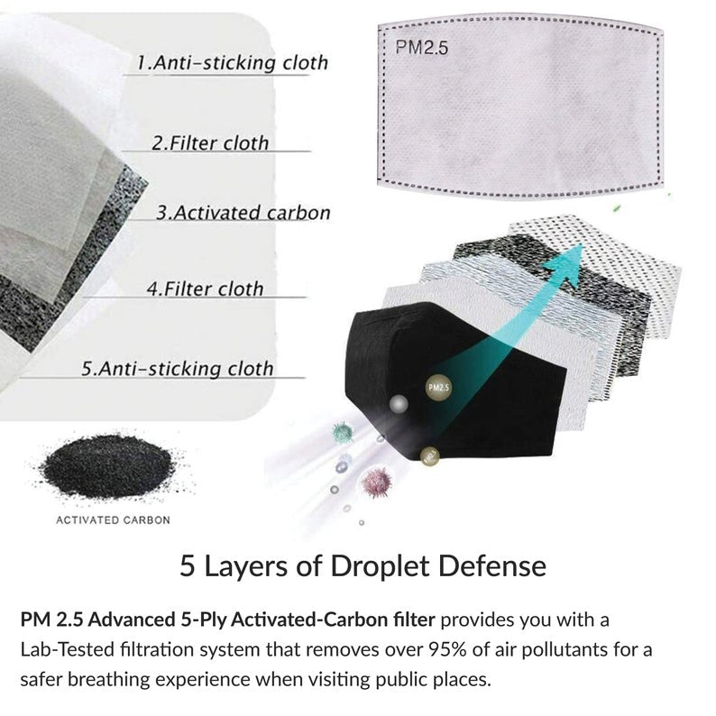 5-ply PM 2.5 with Activated Carbon Filters by Laviye – LAVIYE